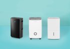 5 Best Dehumidifiers for Your Home