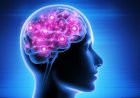 9 Ways to Improve Brain Health