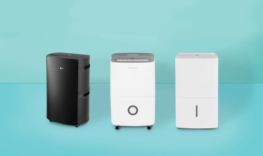 5 Best Dehumidifiers for Your Home