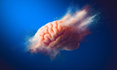 Decrease Your Risk of Cognitive Decline and Dementia – Avoid These 8 Controllable Risk Factors