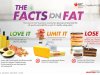 Facts about Fats